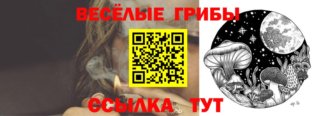 Галлюциногенные грибы Cubensis Канск